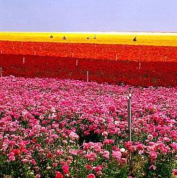 Steam全球服务器突然掉线 无法访问商店现已恢复正常