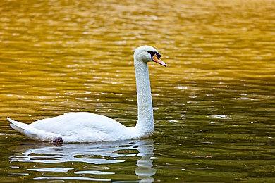 既是猎人，又是猎物：Crytek竞技大作《猎杀：对决》迎来“冬至”活动！