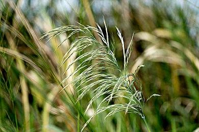 《怪物猎人：荒野》第五弹PV公布 11月1日举行公测