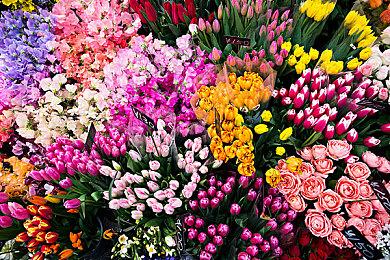 《阿加莎·克里斯蒂：东方快车谋杀案》主机版2024年1月25日发售 试玩版开放